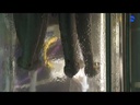 youtube - [Video]